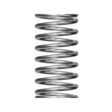 dks-doorking-2600-859-spring