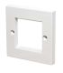 cn-kd-fp37-wall-plate-with-dual-gang